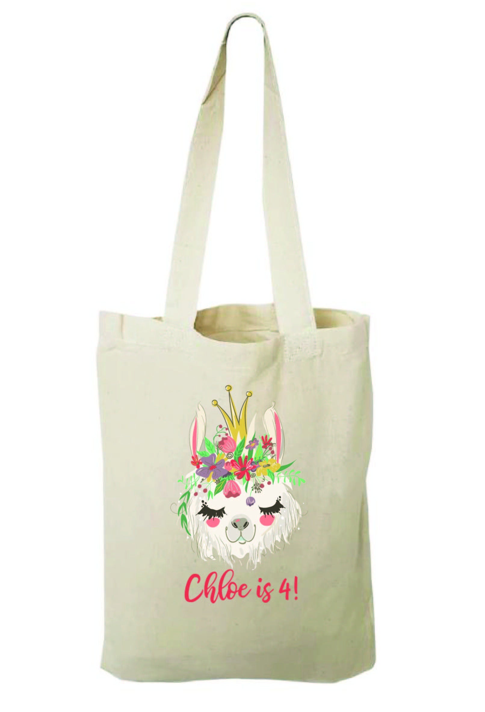Llama Party Favor Bags