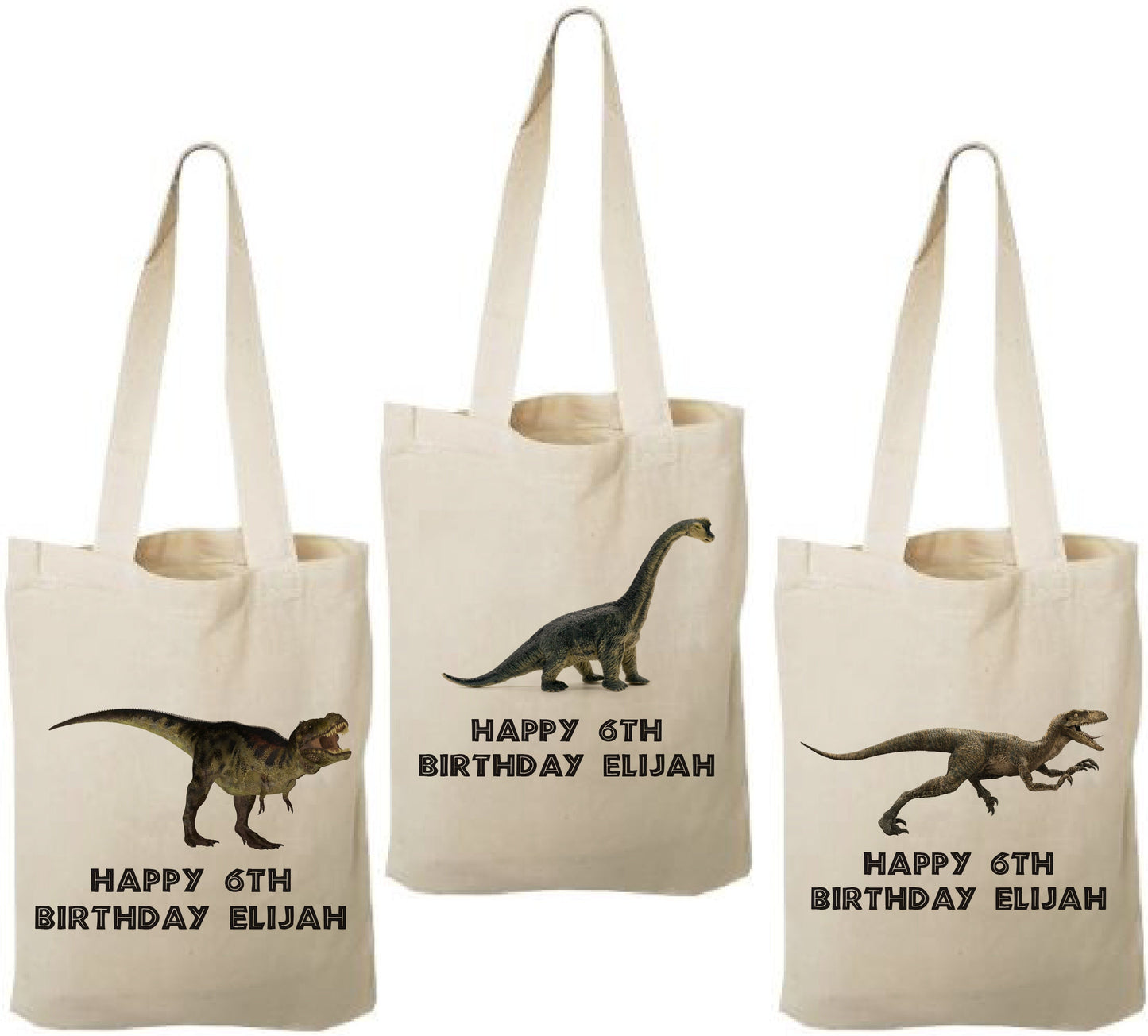 Custom Dinosaur Party Favor Bags - Set of Three Bags