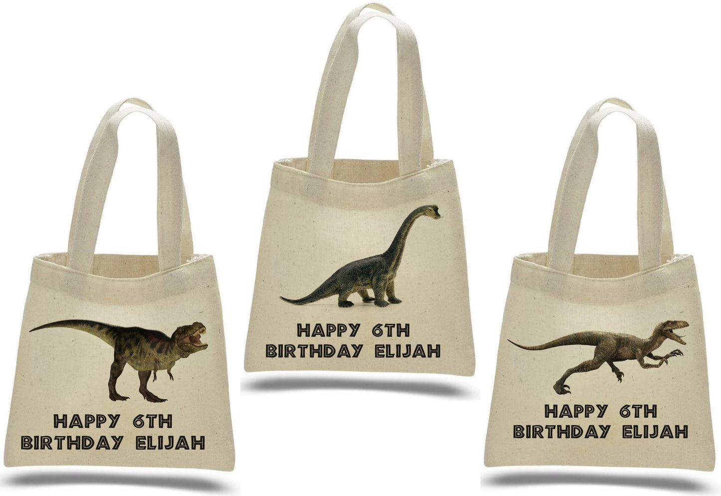 Custom Dinosaur Party Favor Bags - Set of Three Bags