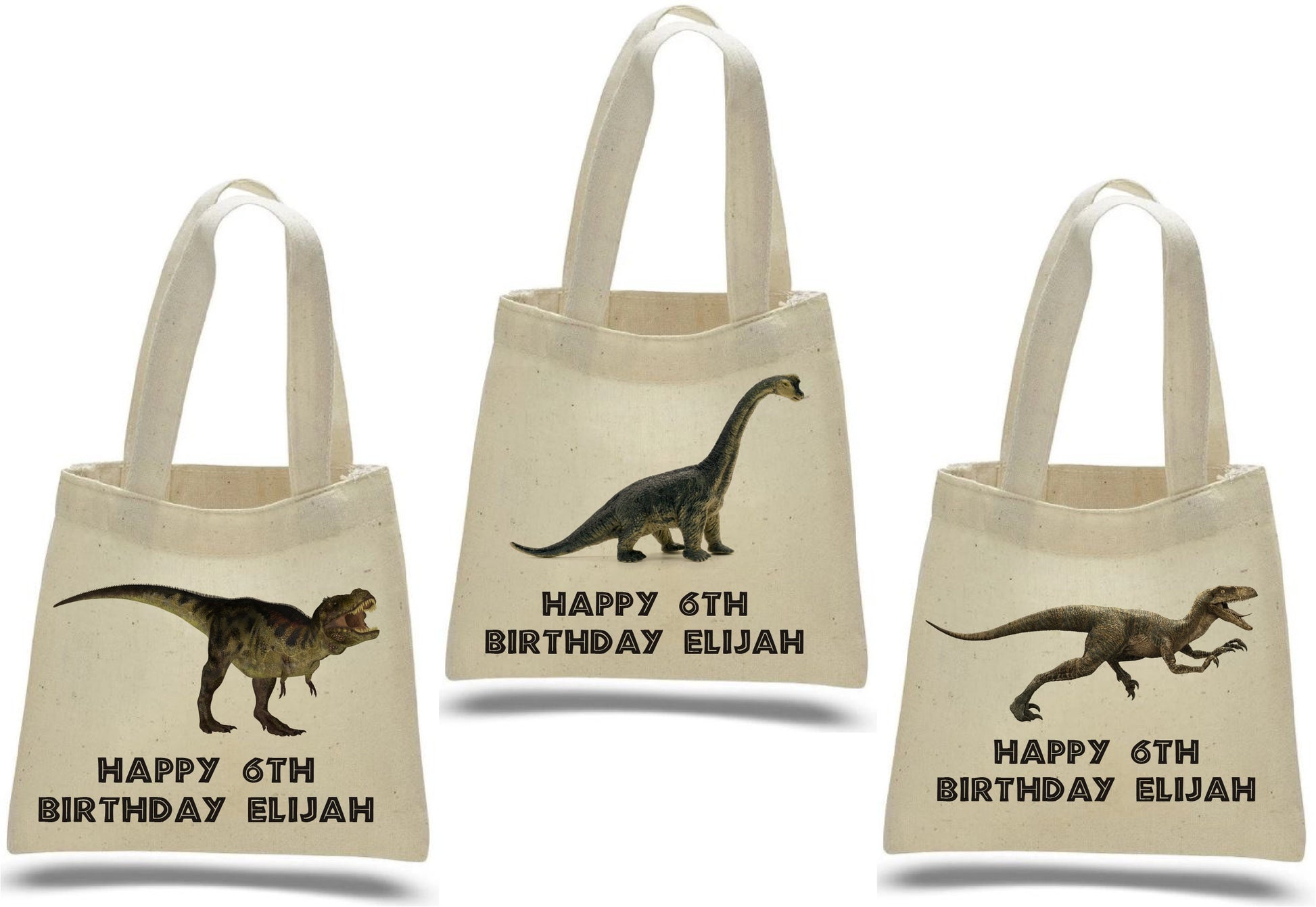 Custom Dinosaur Party Favor Bags - Set of Three Bags