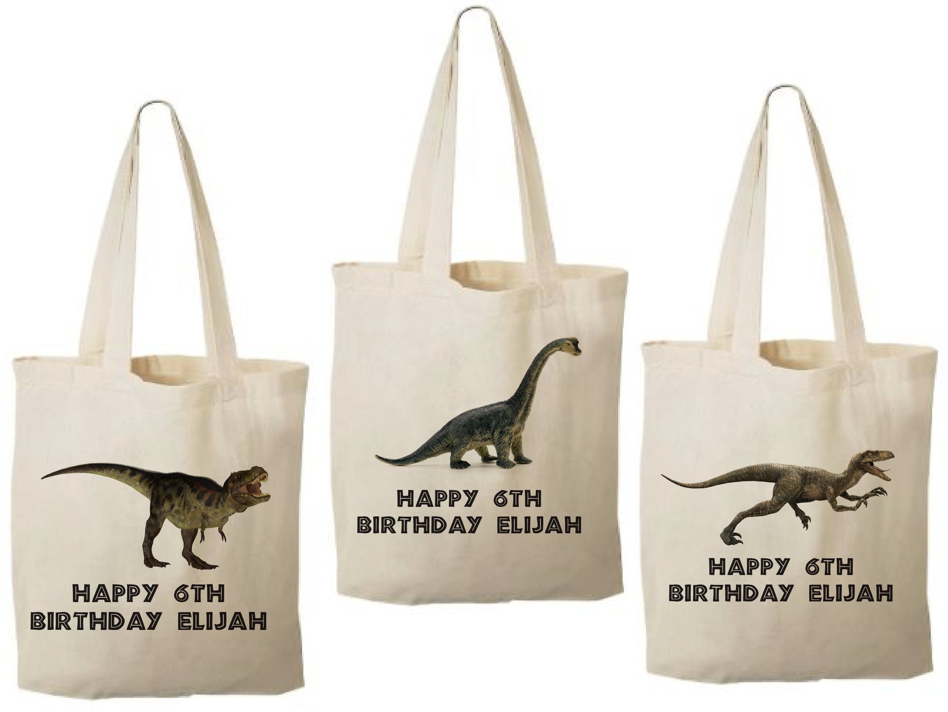 Custom Dinosaur Party Favor Bags - Set of Three Bags