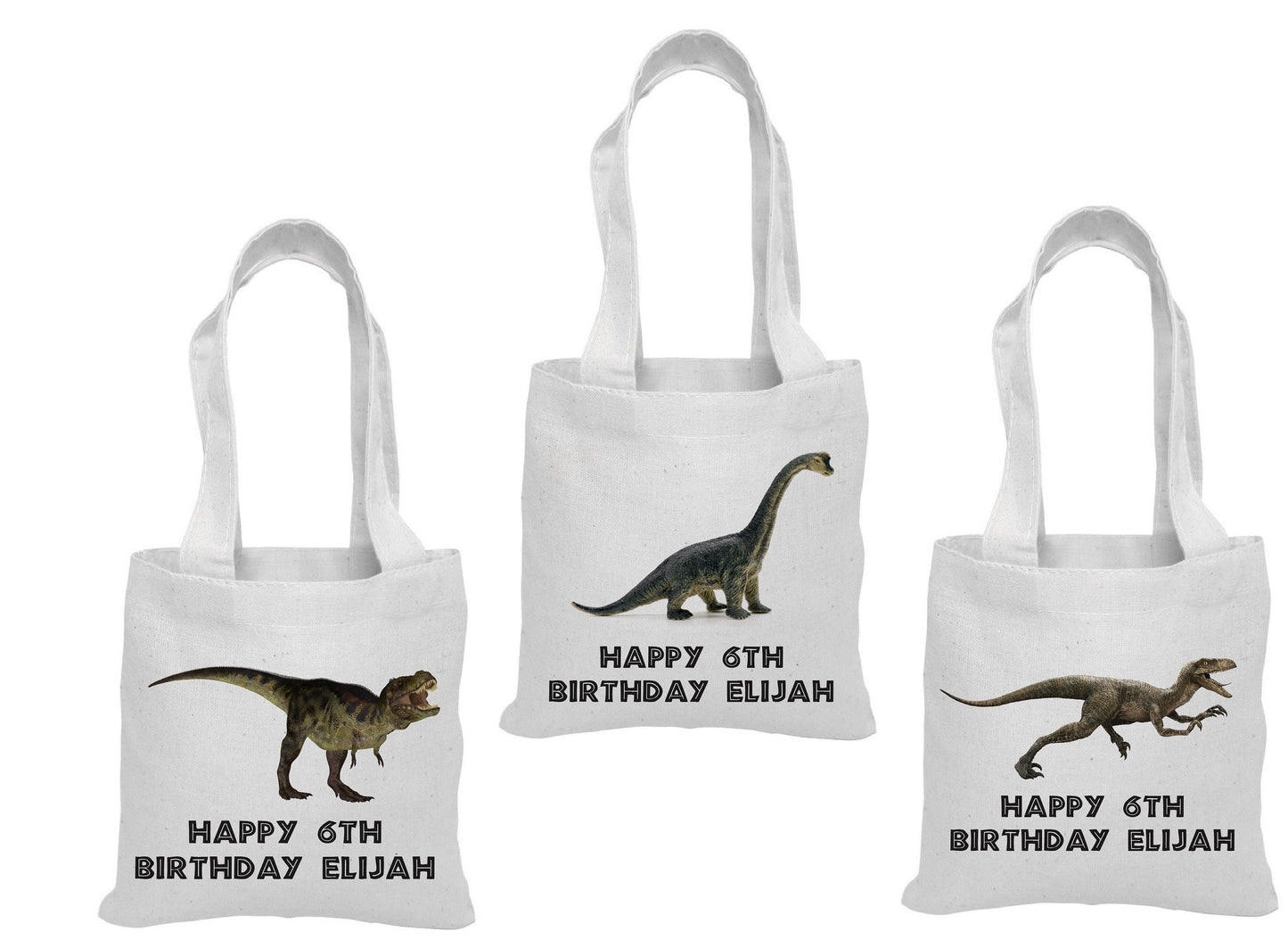 Custom Dinosaur Party Favor Bags - Set of Three Bags