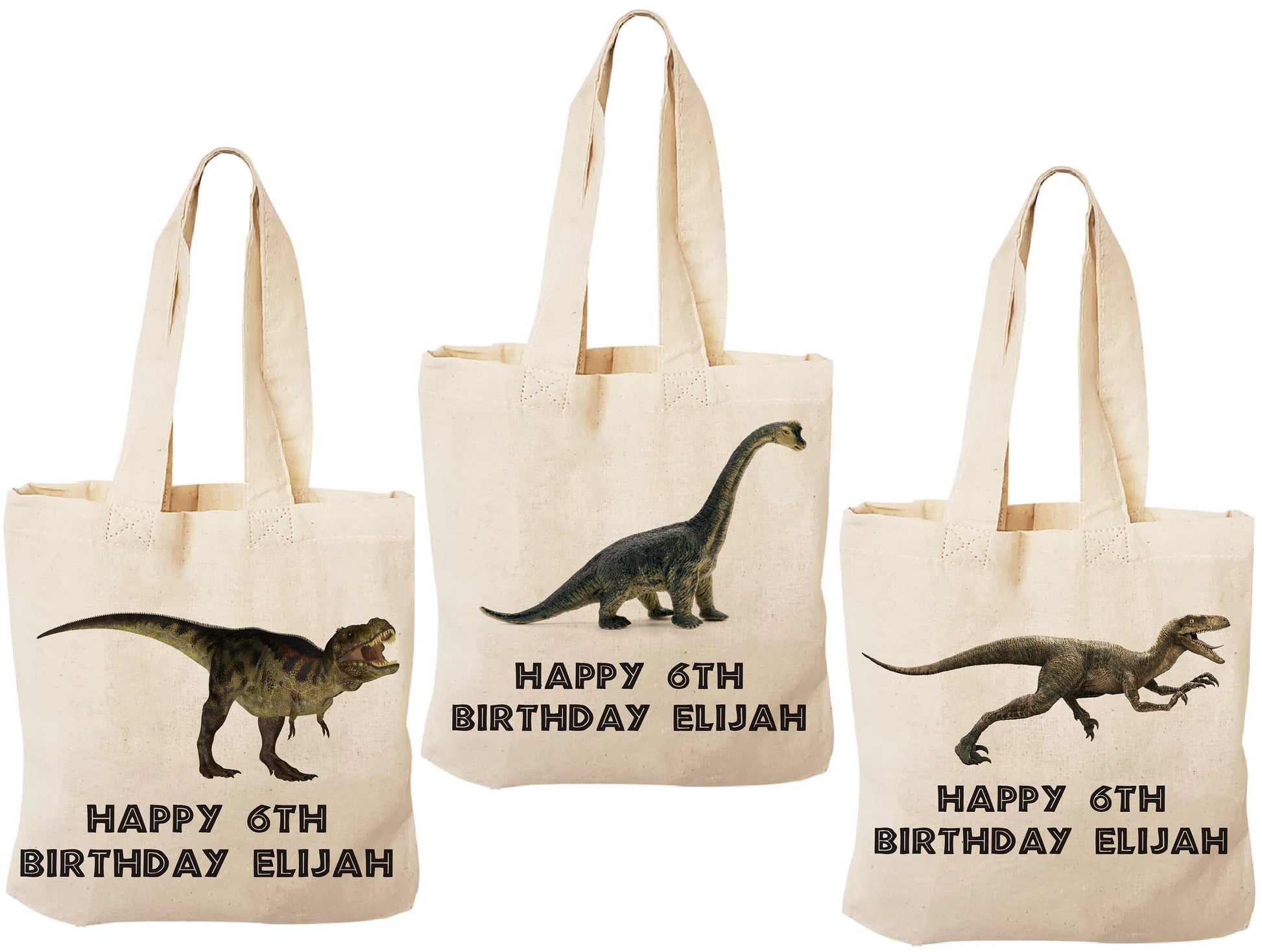 Custom Dinosaur Party Favor Bags - Set of Three Bags