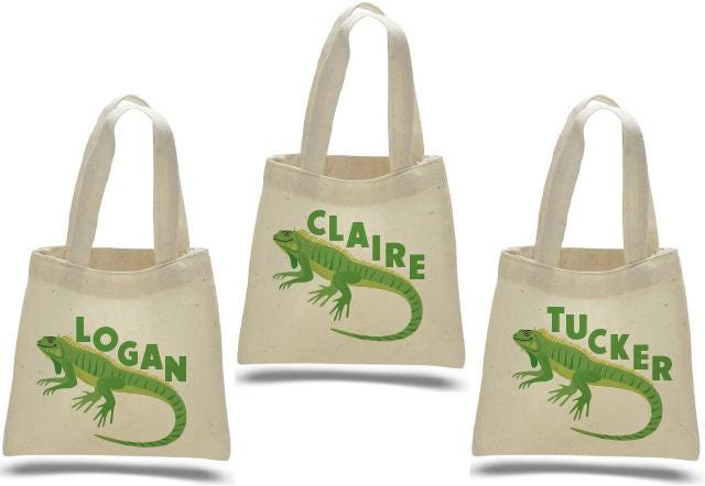 Custom Lizard Party Favor Bags - Perfect for Lizard or Reptile Themed Parties & Events! - Set of Three Bags Personalized with Guest Names