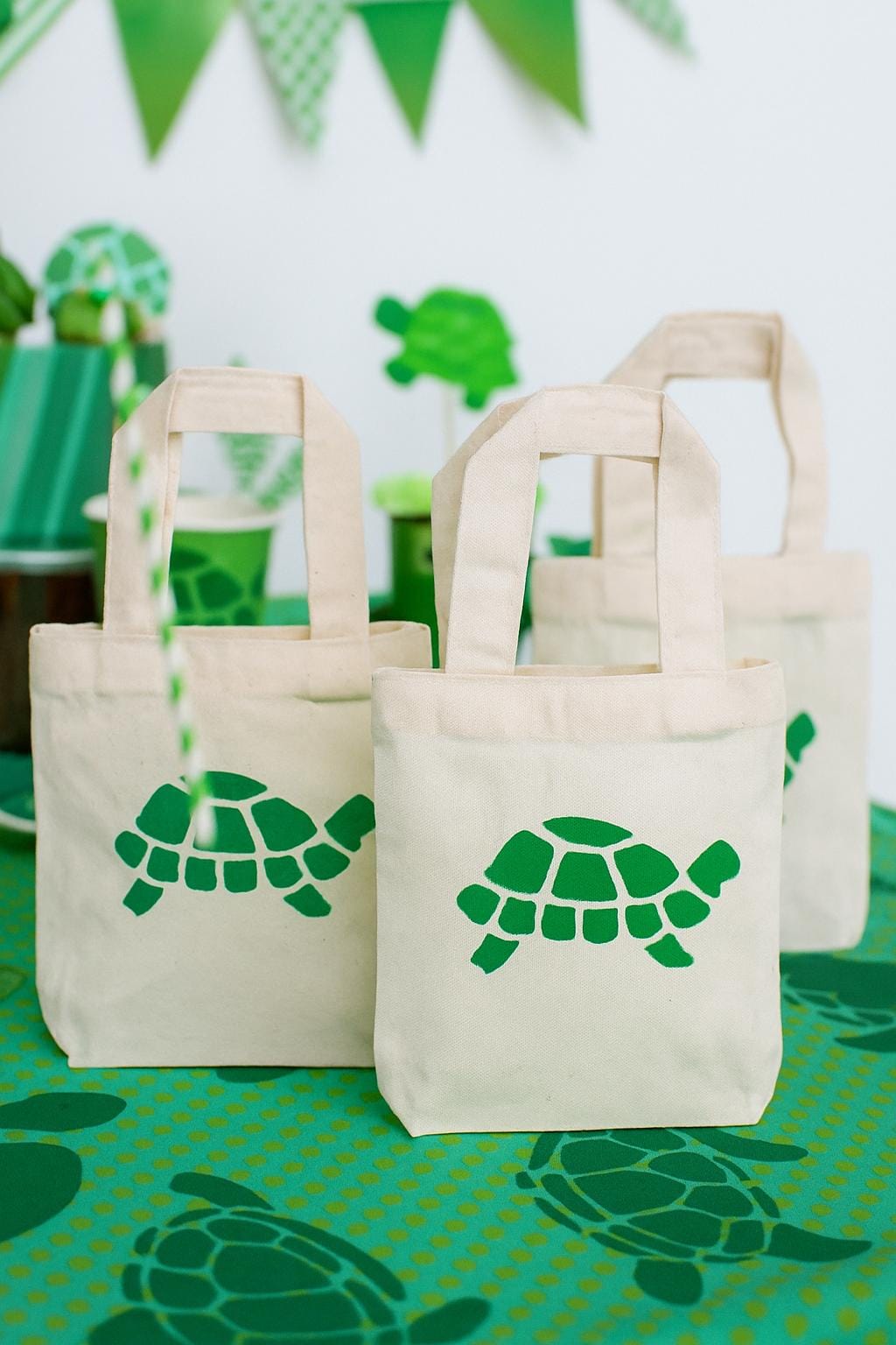 Turtle Party Favor Bags - Set of Three Bags