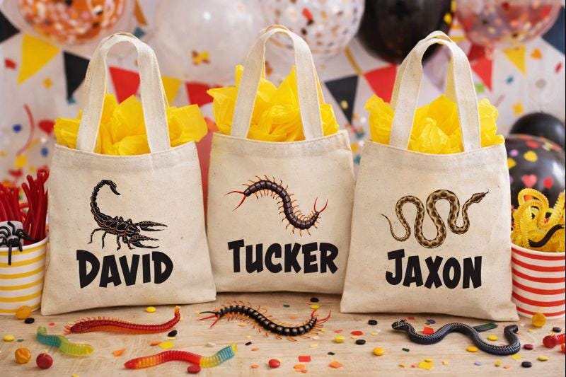 Creepy Crawly Cotton Party Favor Bags, Set of 3
